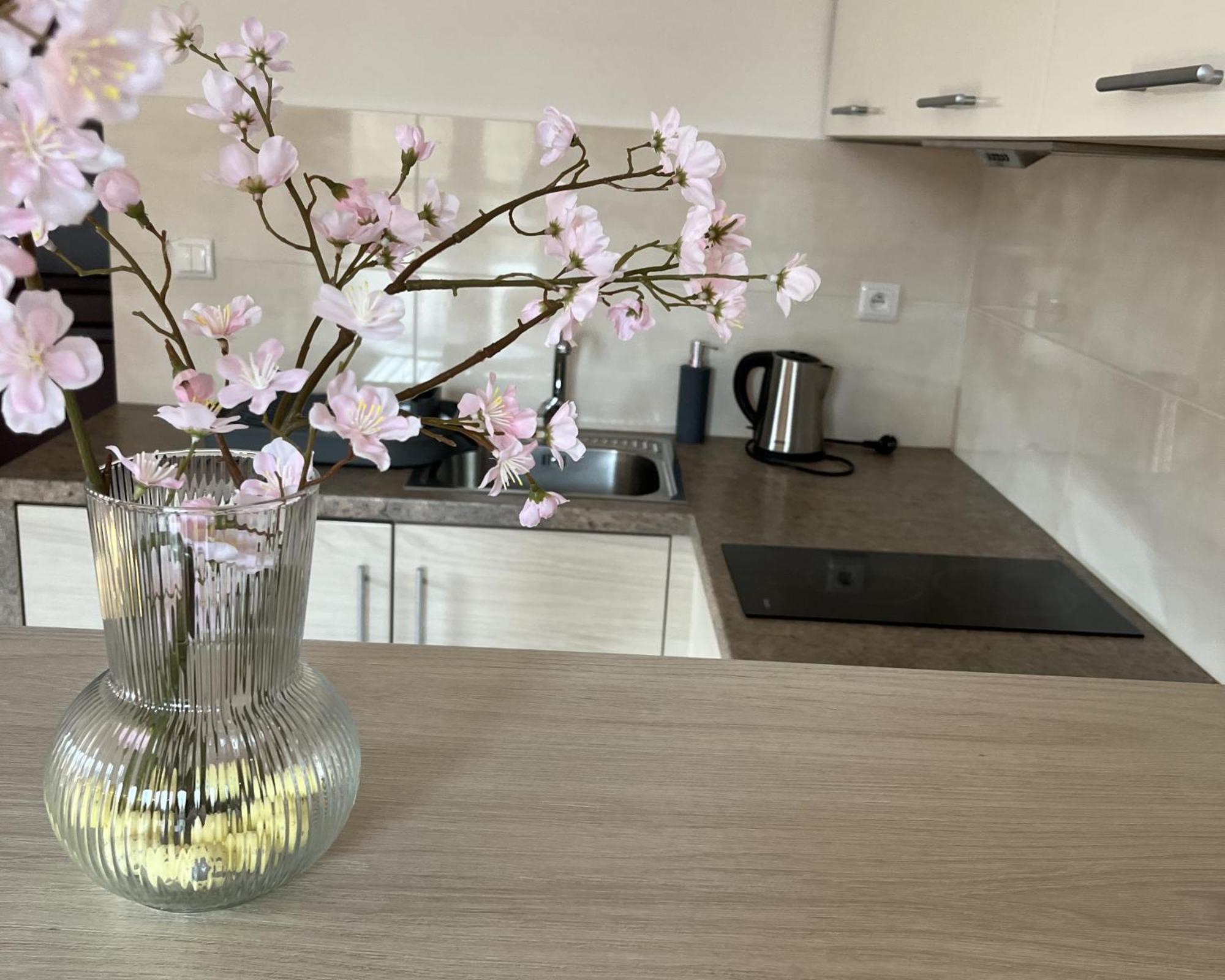 Apartamety I Pokoje Goscinne Na Jaskolczej Świeradów-Zdrój 외부 사진