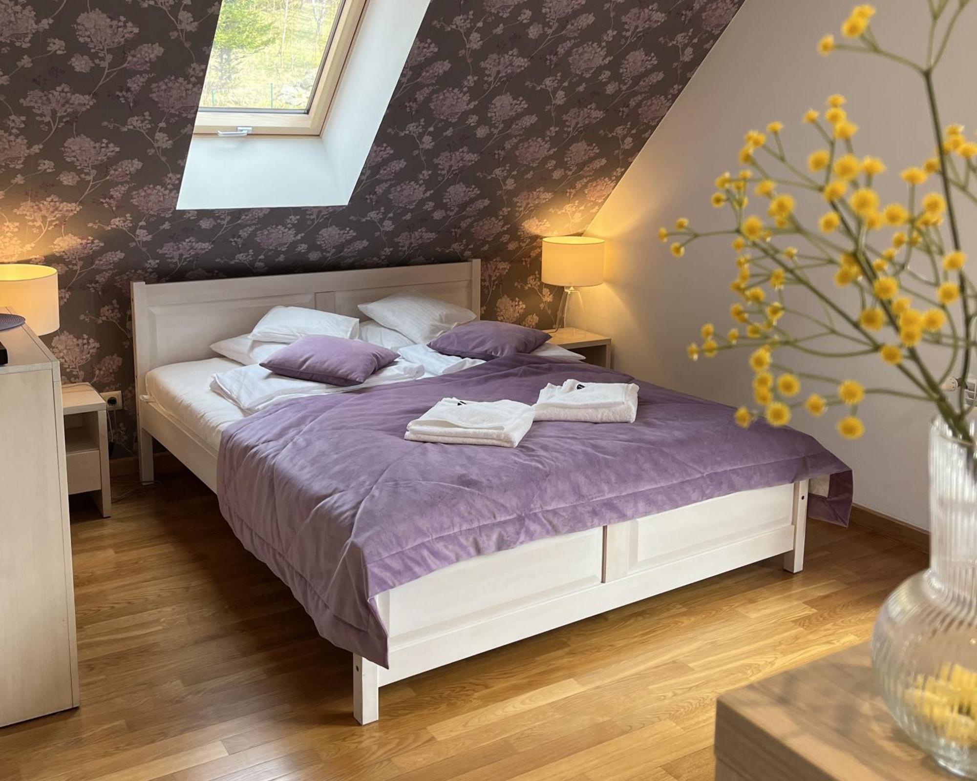 Apartamety I Pokoje Goscinne Na Jaskolczej Świeradów-Zdrój 외부 사진