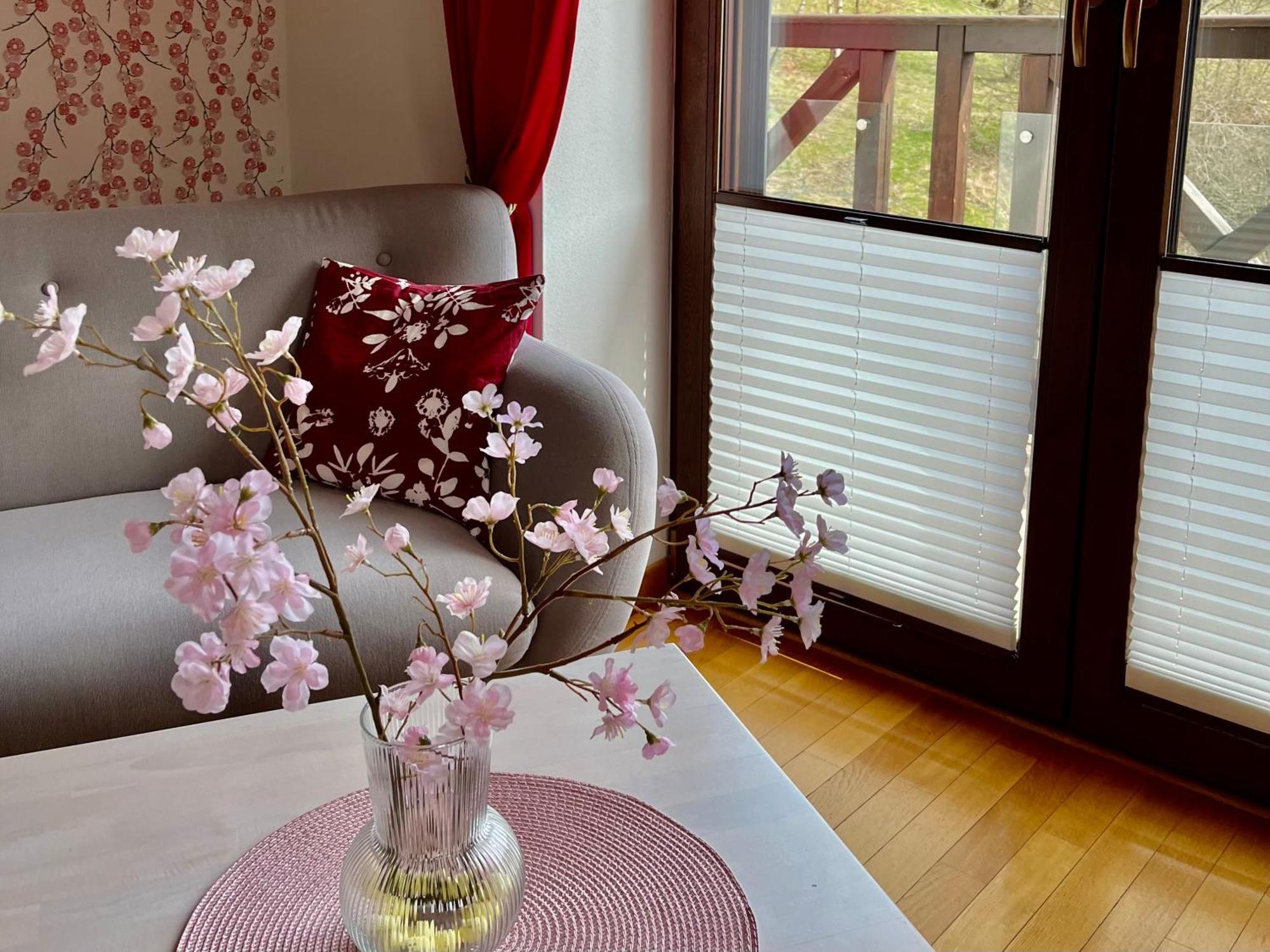 Apartamety I Pokoje Goscinne Na Jaskolczej Świeradów-Zdrój 외부 사진